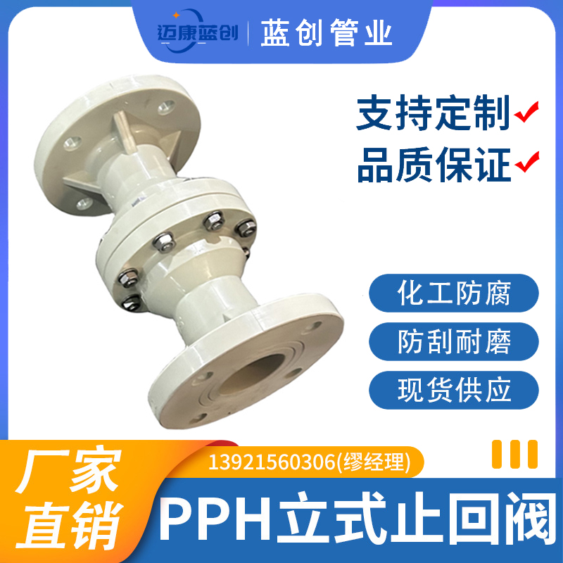 PPH立式止回阀